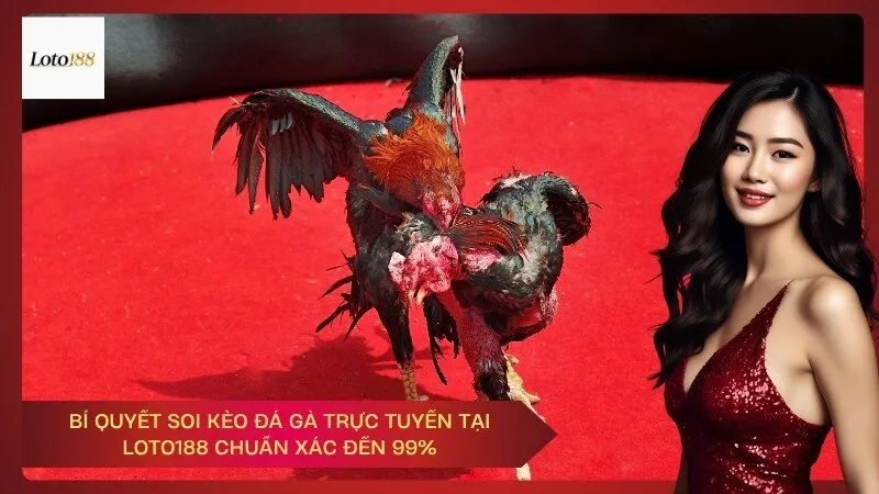 Bí Quyết Soi Kèo Đá Gà Trực Tuyến Tại Loto188 Chuẩn Xác Đến 99%