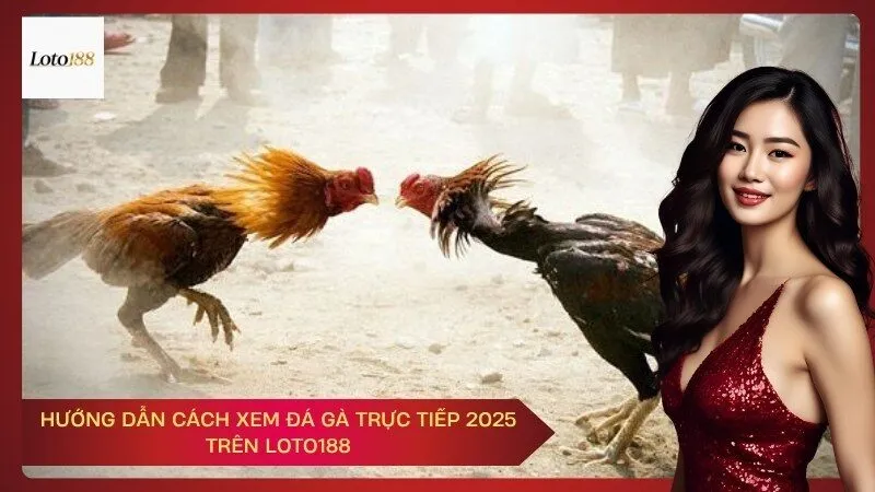 loto188 Hướng Dẫn Cách Xem Đá Gà Trực Tiếp 2025