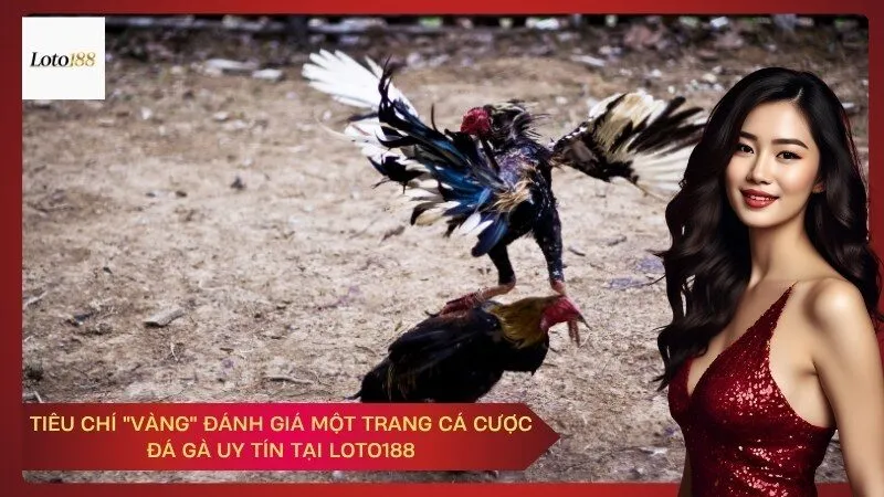 loto188 Tiêu Chí "Vàng" Đánh Giá Một Trang Cá Cược Đá Gà Uy Tín Tại Loto188