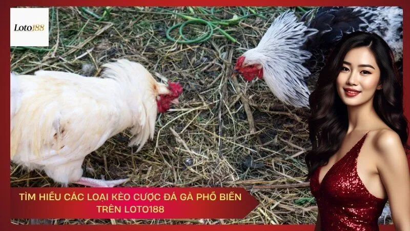 loto188 Tìm Hiểu Các Loại Kèo Cược Đá Gà Phổ Biến Trên Loto188