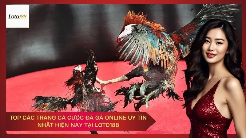 Top các trang cá cược đá gà online uy tín nhất hiện nay tại Loto188